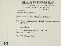 登錄號:F0020181藏品圖，第2張