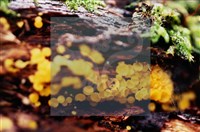 登錄號:F0020182藏品圖，第5張