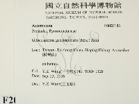 登錄號:F0020183藏品圖，第2張