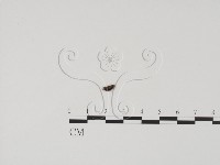 登錄號:F0020185藏品圖，第1張