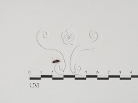 登錄號:F0020185藏品圖，第3張