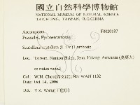 登錄號:F0020187藏品圖，第2張