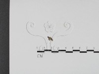 登錄號:F0020188藏品圖，第4張