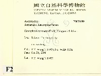 館號:F0020189藏品圖，第2張