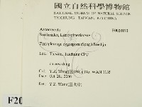登錄號:F0020190藏品圖，第2張