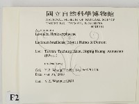 登錄號:F0020191藏品圖，第2張