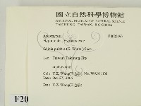 登錄號:F0020193藏品圖，第2張