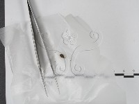 登錄號:F0020193藏品圖，第1張