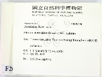 登錄號:F0020194藏品圖，第2張