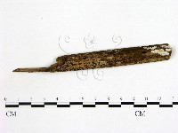 登錄號:F0020194藏品圖，第3張