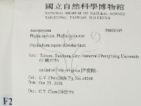 登錄號:F0020195藏品圖，第2張