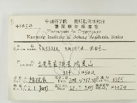 登錄號:F0020200藏品圖，第2張