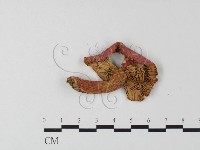 登錄號:F0020200藏品圖，第3張
