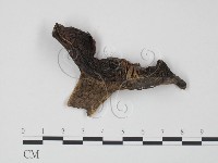登錄號:F0020204藏品圖，第1張