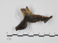 登錄號:F0020204藏品圖，第3張