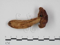 登錄號:F0020205藏品圖，第3張