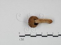 登錄號:F0020207藏品圖，第3張