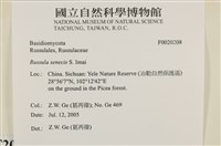 登錄號:F0020208藏品圖，第4張