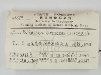 登錄號:F0020209藏品圖，第2張
