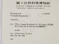 紅菇屬藏品圖，第2張