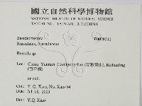 紅菇屬藏品圖，第2張