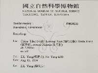 紅菇屬藏品圖，第2張