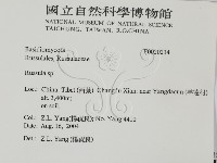 紅菇屬藏品圖，第2張