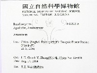 鵝膏屬藏品圖，第2張
