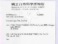 登錄號:F0020217藏品圖，第2張