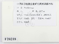 登錄號:F0020218藏品圖，第2張
