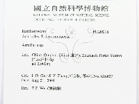 登錄號:F0020218藏品圖，第3張