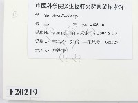登錄號:F0020219藏品圖，第2張