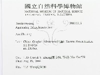 登錄號:F0020219藏品圖，第3張