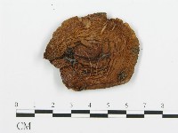 登錄號:F0020219藏品圖，第4張