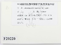 登錄號:F0020220藏品圖，第2張