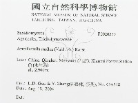 登錄號:F0020220藏品圖，第3張