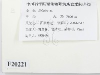 館號:F0020221藏品圖，第2張