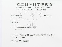 館號:F0020221藏品圖，第3張