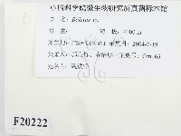 登錄號:F0020222藏品圖，第2張