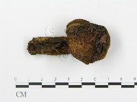 登錄號:F0020222藏品圖，第4張