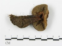 登錄號:F0020223藏品圖，第4張