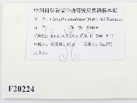 登錄號:F0020224藏品圖，第2張