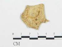 登錄號:F0020225藏品圖，第4張