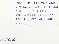 館號:F0020226藏品圖，第2張