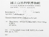 館號:F0020226藏品圖，第3張