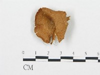 登錄號:F0020227藏品圖，第1張