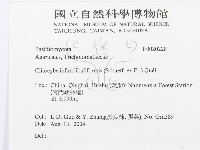 登錄號:F0020228藏品圖，第3張