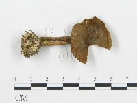 登錄號:F0020228藏品圖，第1張