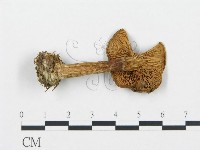 登錄號:F0020228藏品圖，第4張
