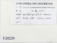 登錄號:F0020229藏品圖，第2張